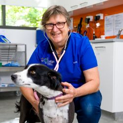 Vet Services