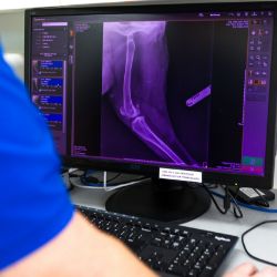 Xray